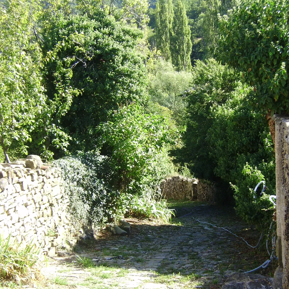 chemin