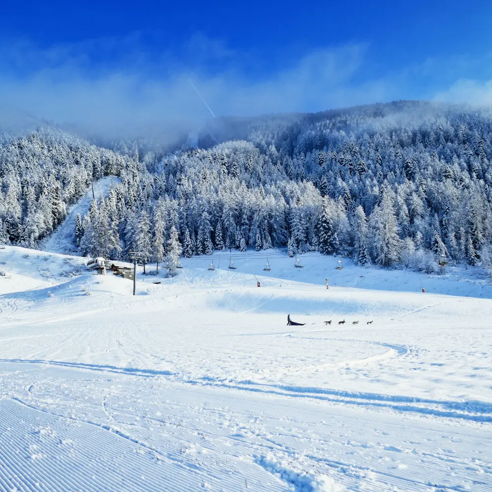 Baptême en traîneau à chien avec Passion Traineau