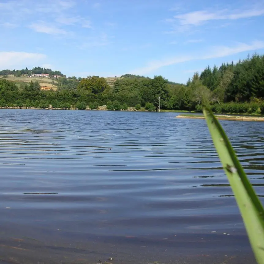 Plan d'eau de Chausseterre
