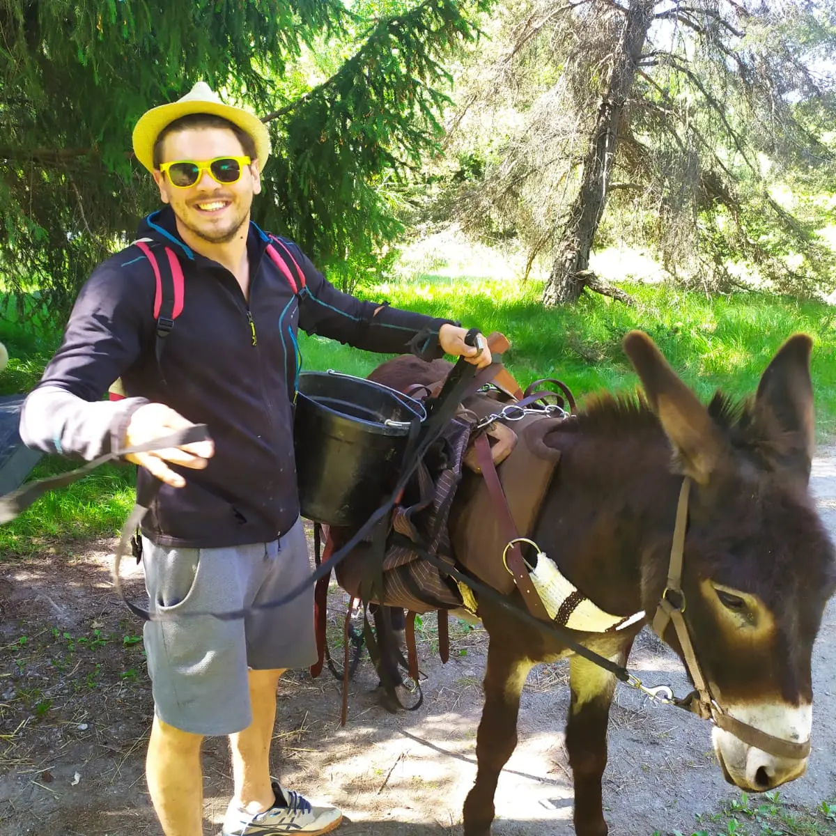 Randonnée avec les ânes - Arbraventure à Champoléon