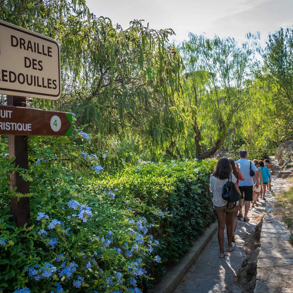 En passant par la draille des bredouilles