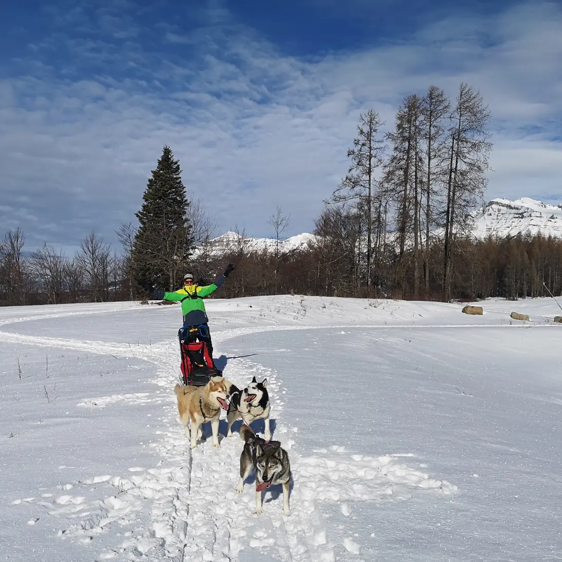 Conduite d'attelage avec Passion Traineau