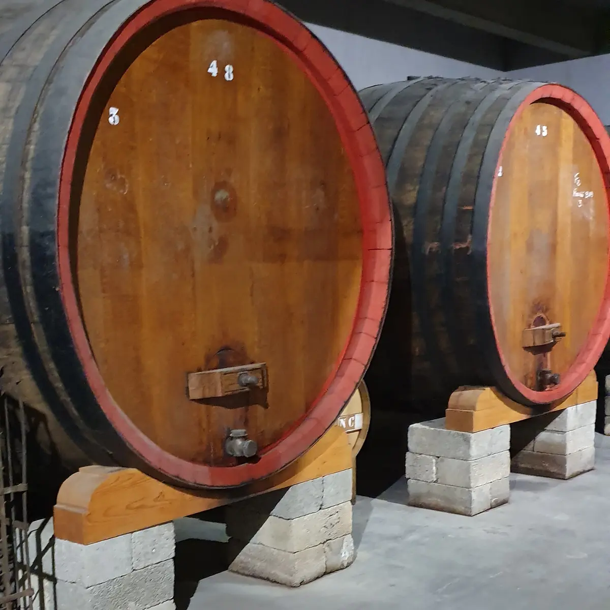 Domaine de Cagueloup