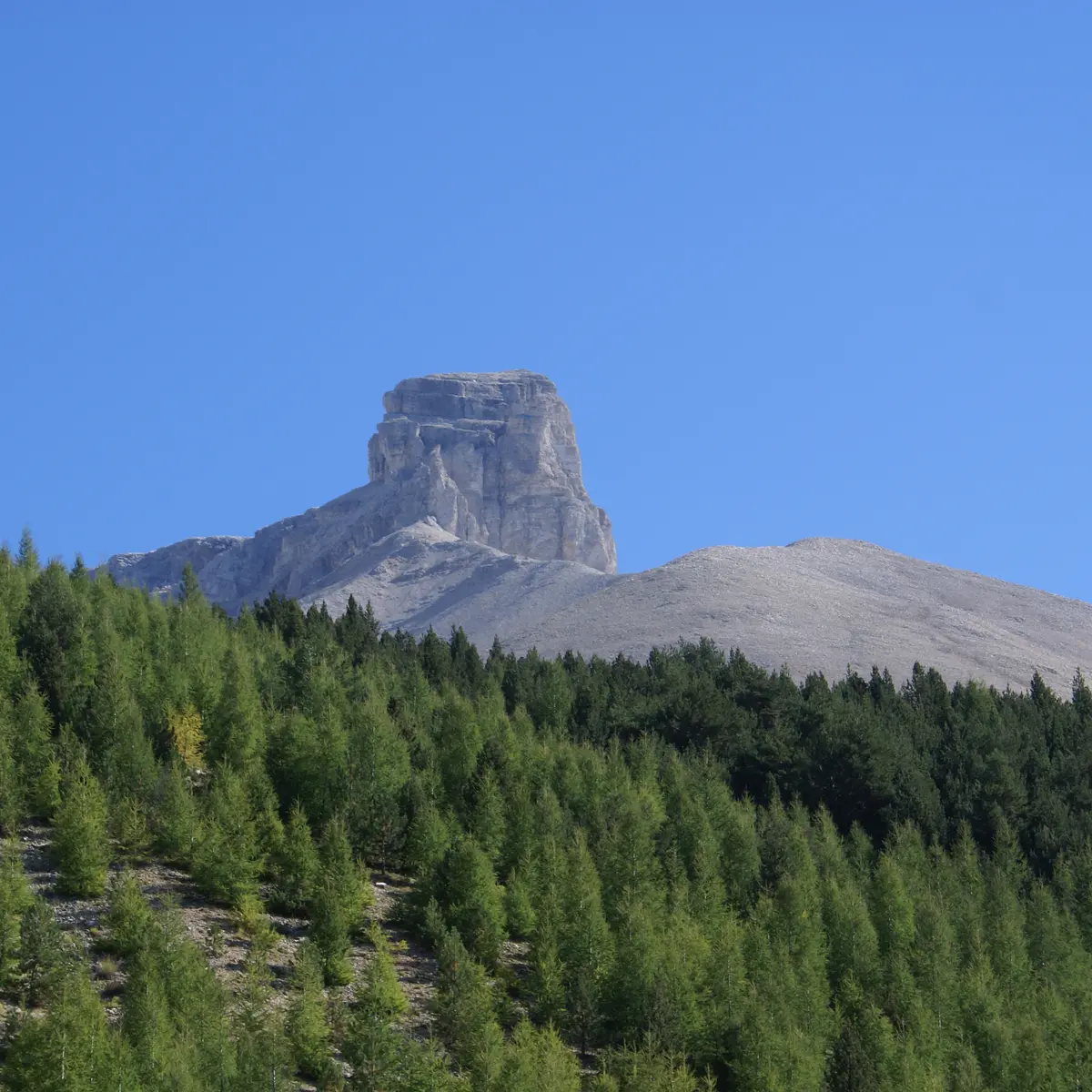 La Crête des Bergers dans Le Dévoluy Hautes-Alpes, Dévoluy
