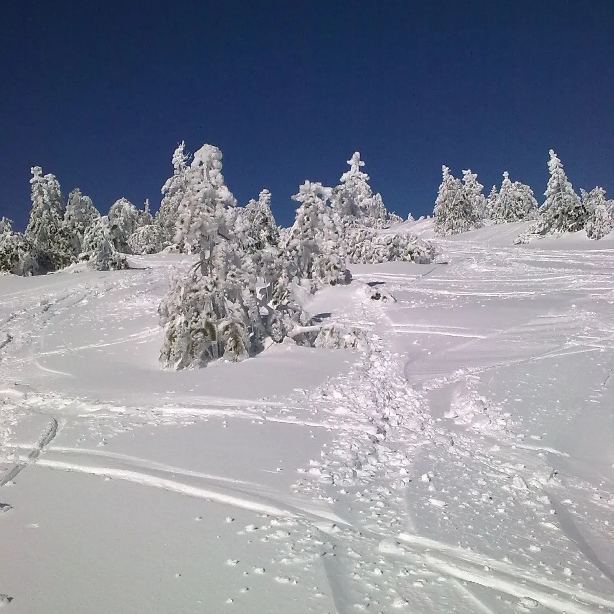 piste enneigée