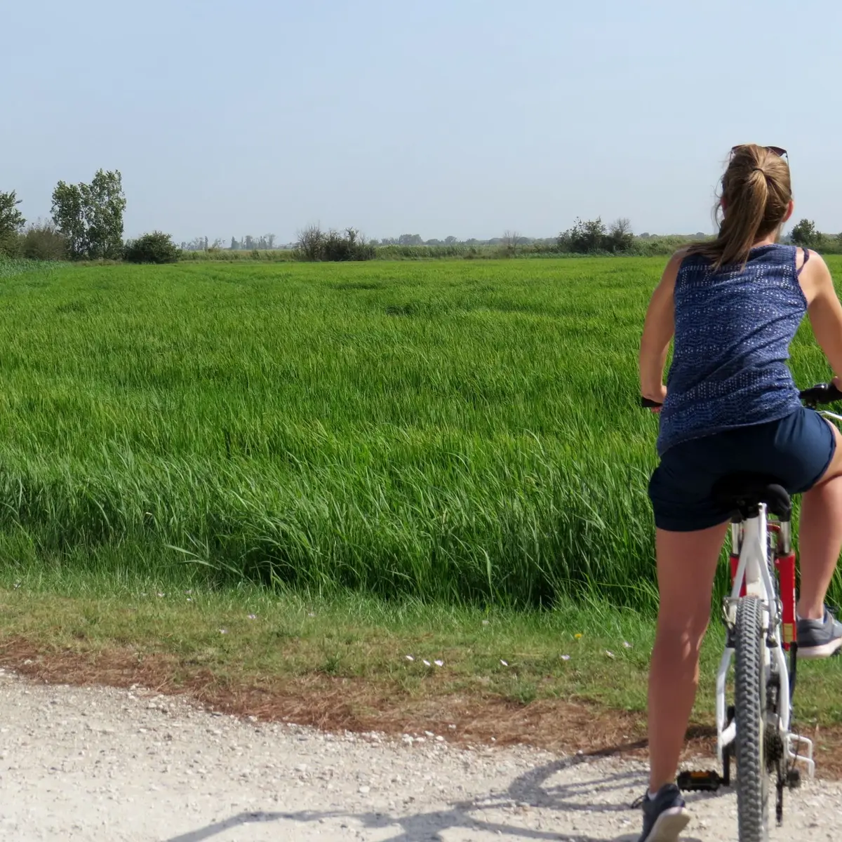 Cycliste devant une rizière