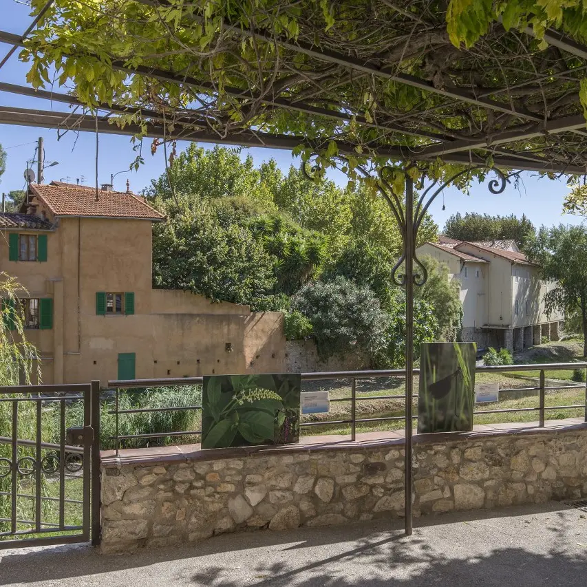 Jardin du couvent des Observantins