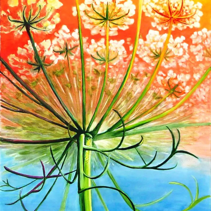 L'atelier de Suzan - Marols