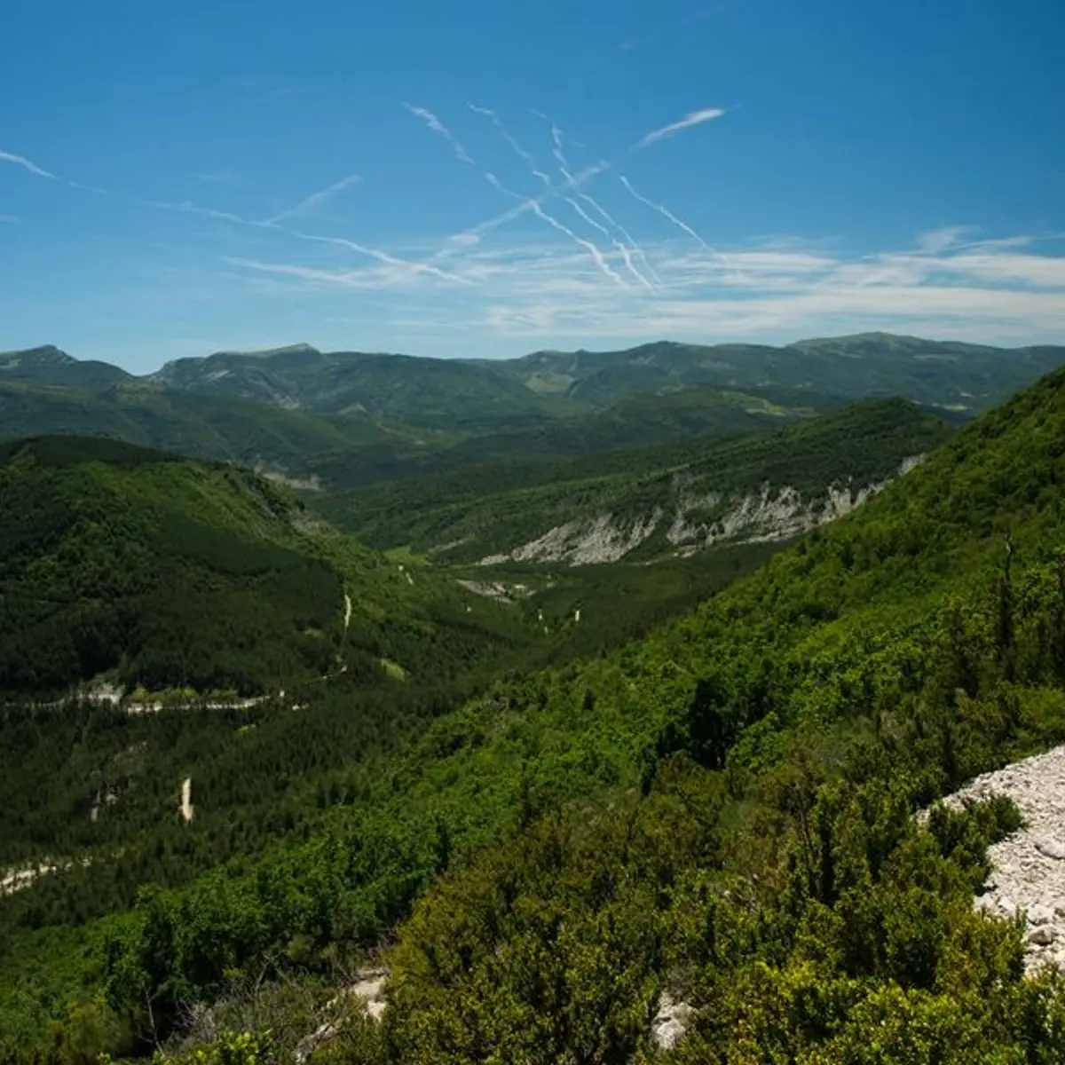Sentier panoramique bordant la Forêt Domaniale de la Méouge