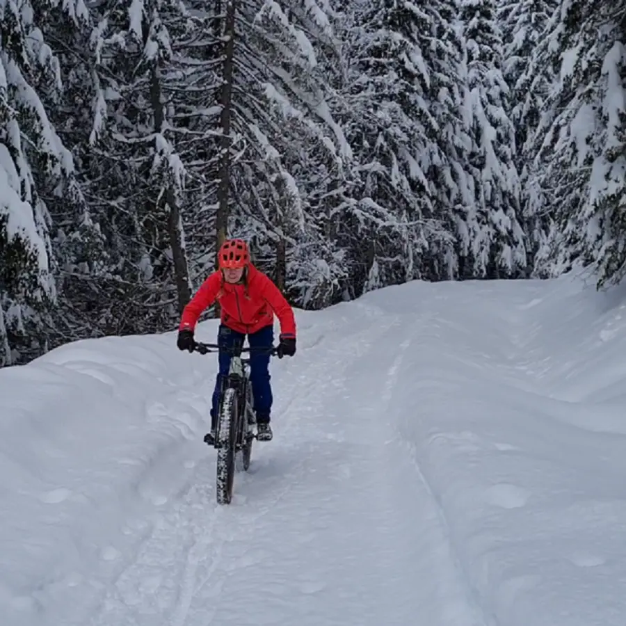 Famil'e-bike