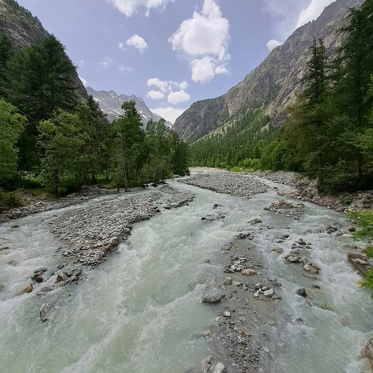 Torrent de Celse Nière