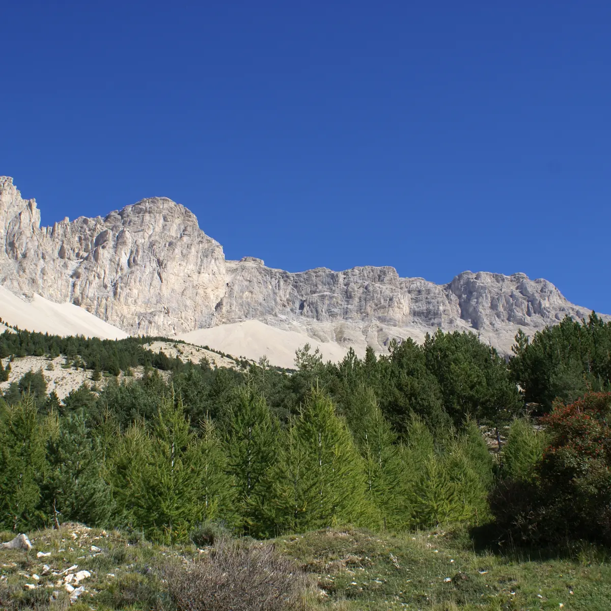 La Crête des Bergers dans Le Dévoluy Hautes-Alpes, Dévoluy