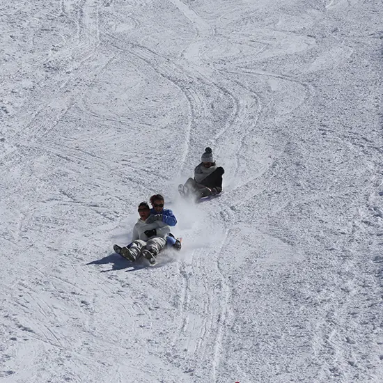 Boarderluge