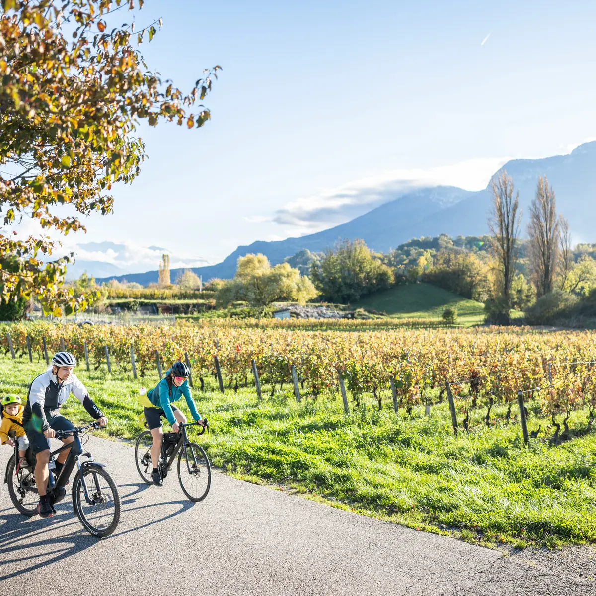 Vignobles du Coeur de Savoie