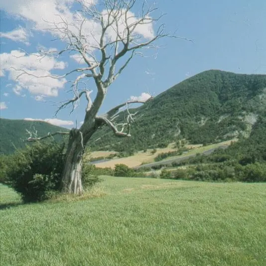 paysage