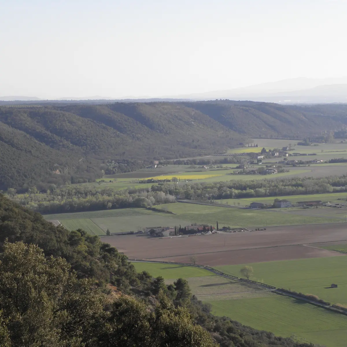 Le Plateau de Valensole vue d'Oraison