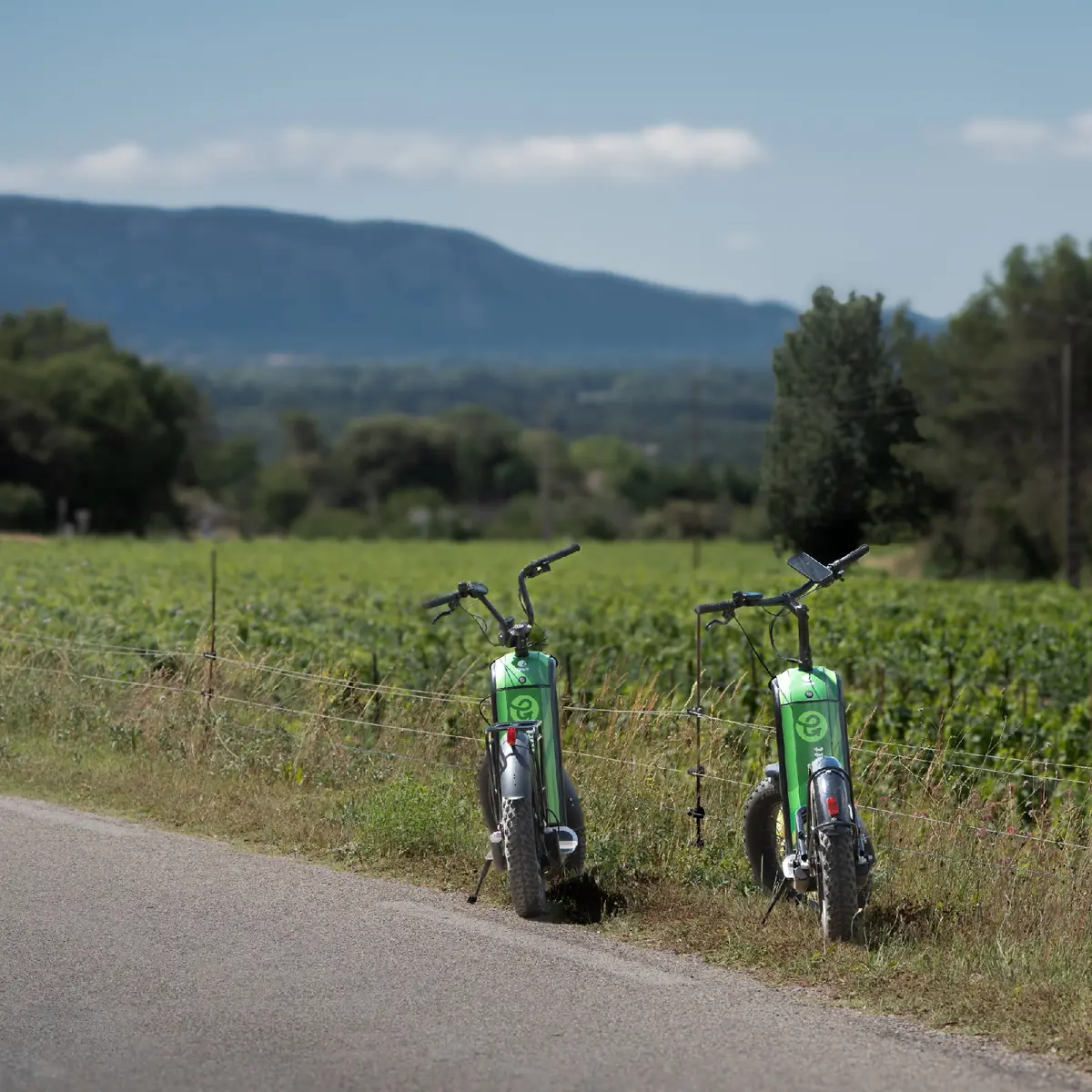 2 trott sur la route