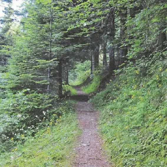 Circuit des gardes