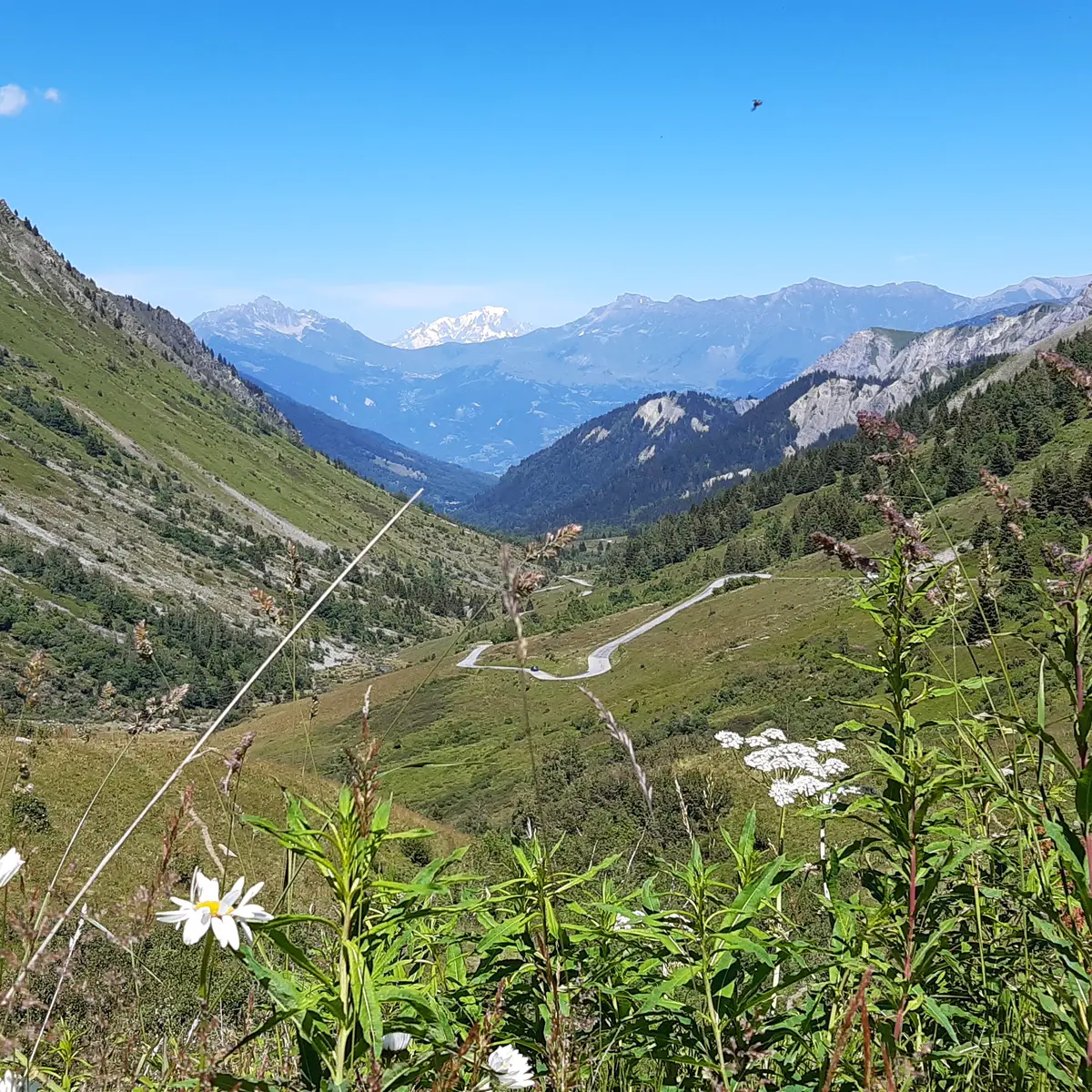 Vue sur le Mont Blanc