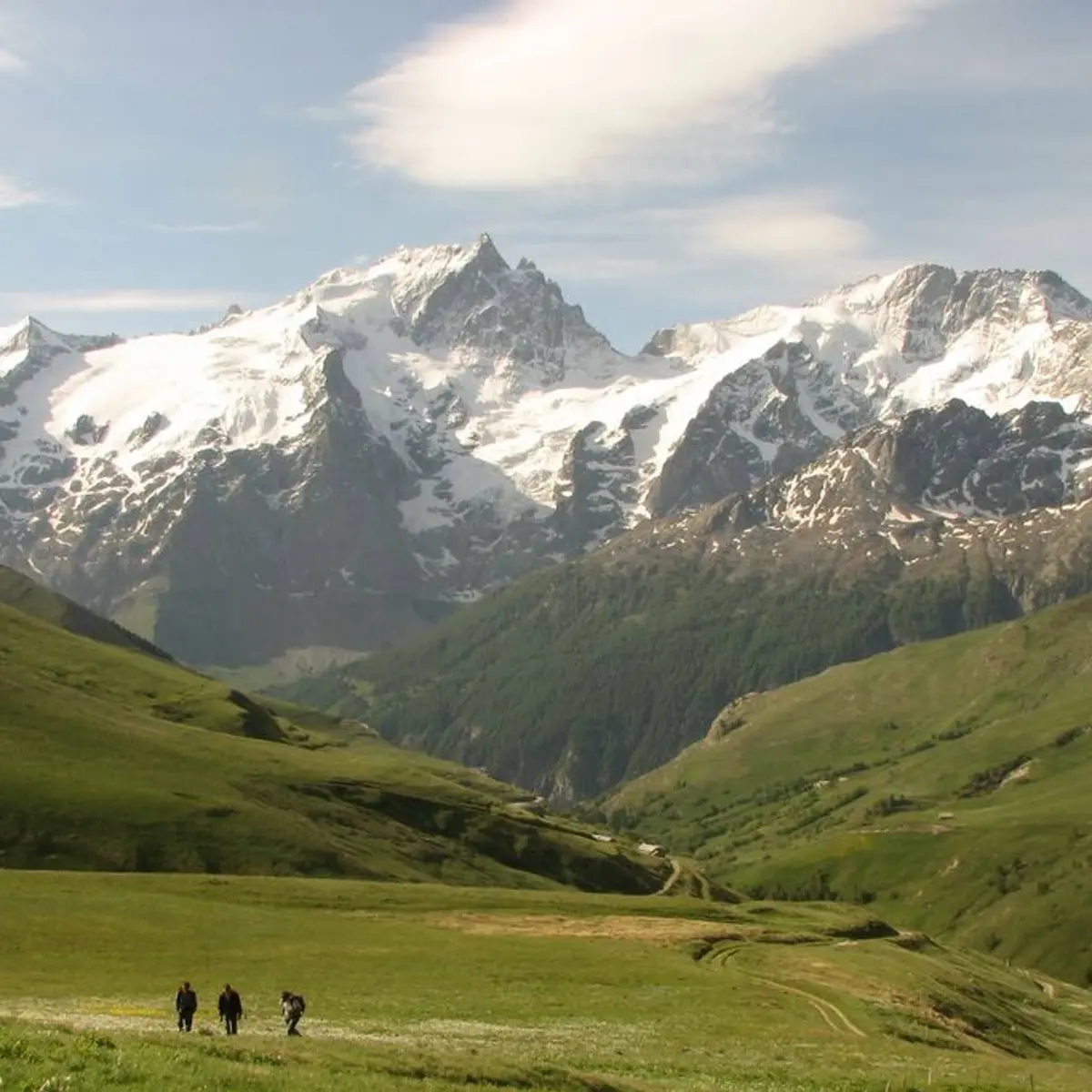 La Meije vue des Orliers