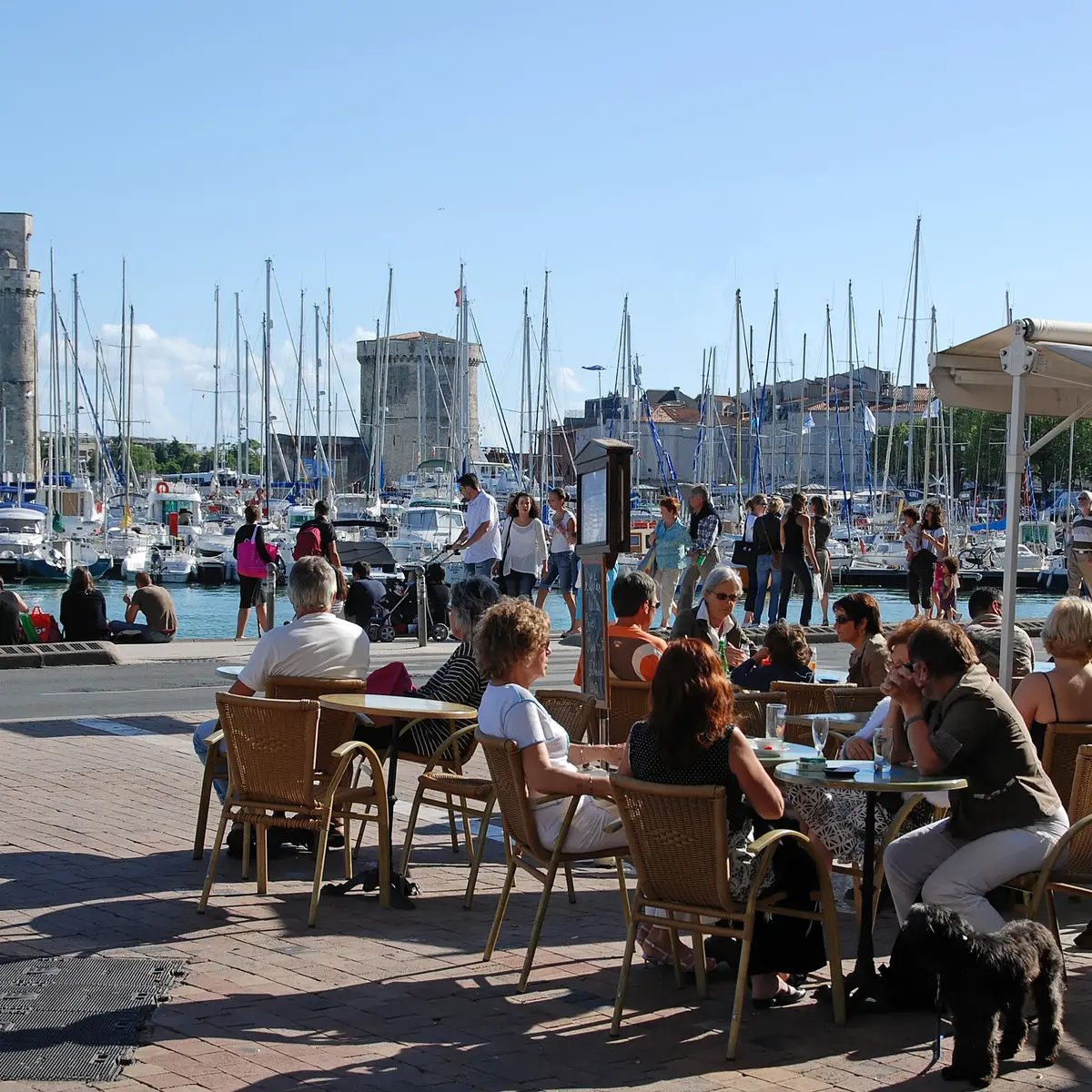 Port et terrasses de La Rochelle