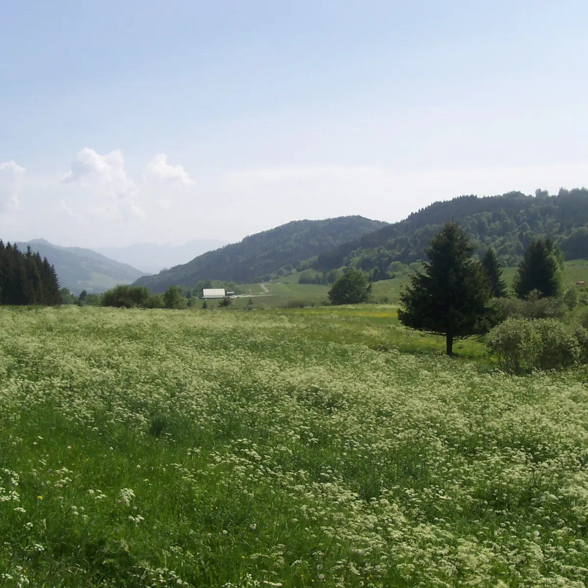 Plateau des Moises