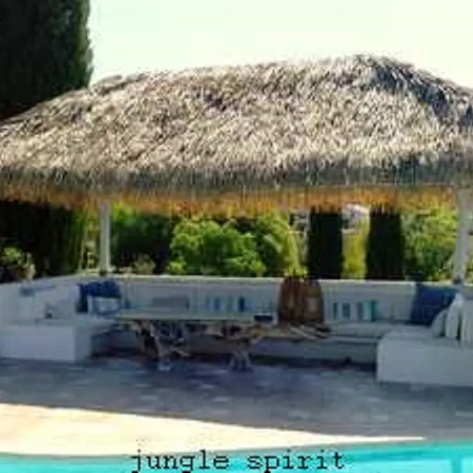 Jungle spirit Sanary