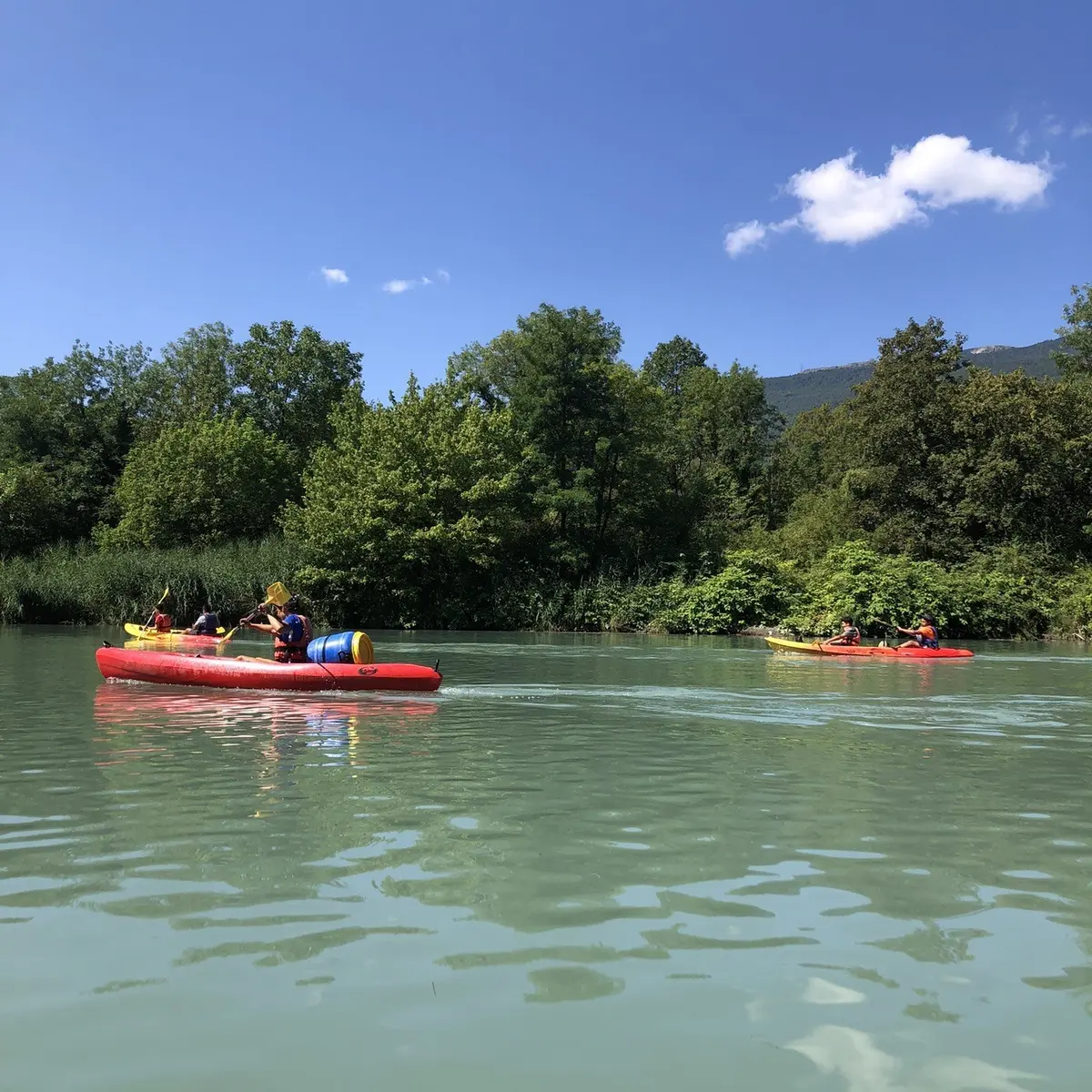 sur le rhône sauvage