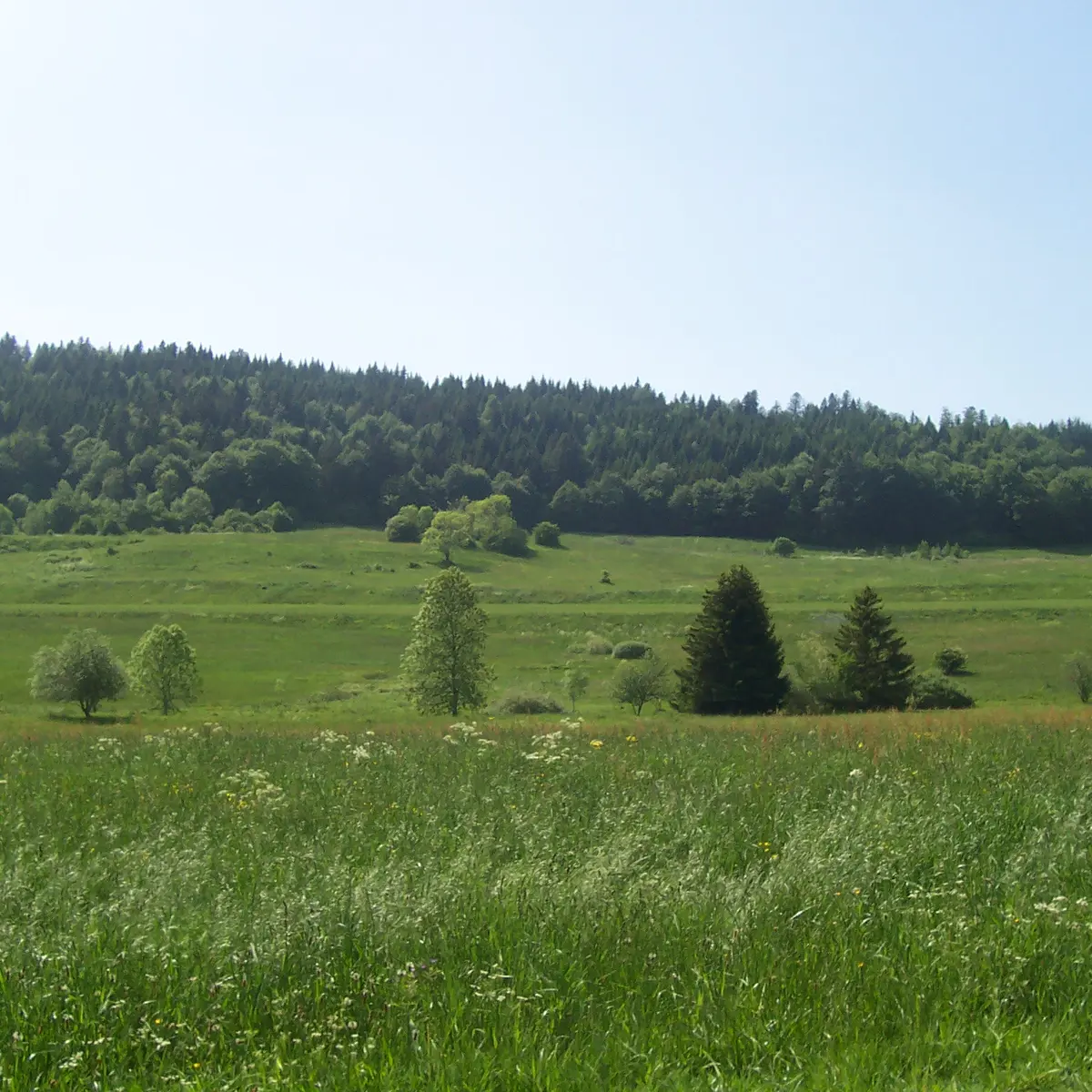 Plateau des Moises