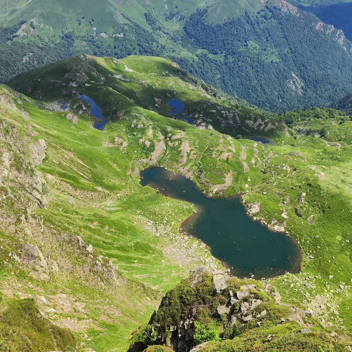 Vue plongeante sur l'étang
