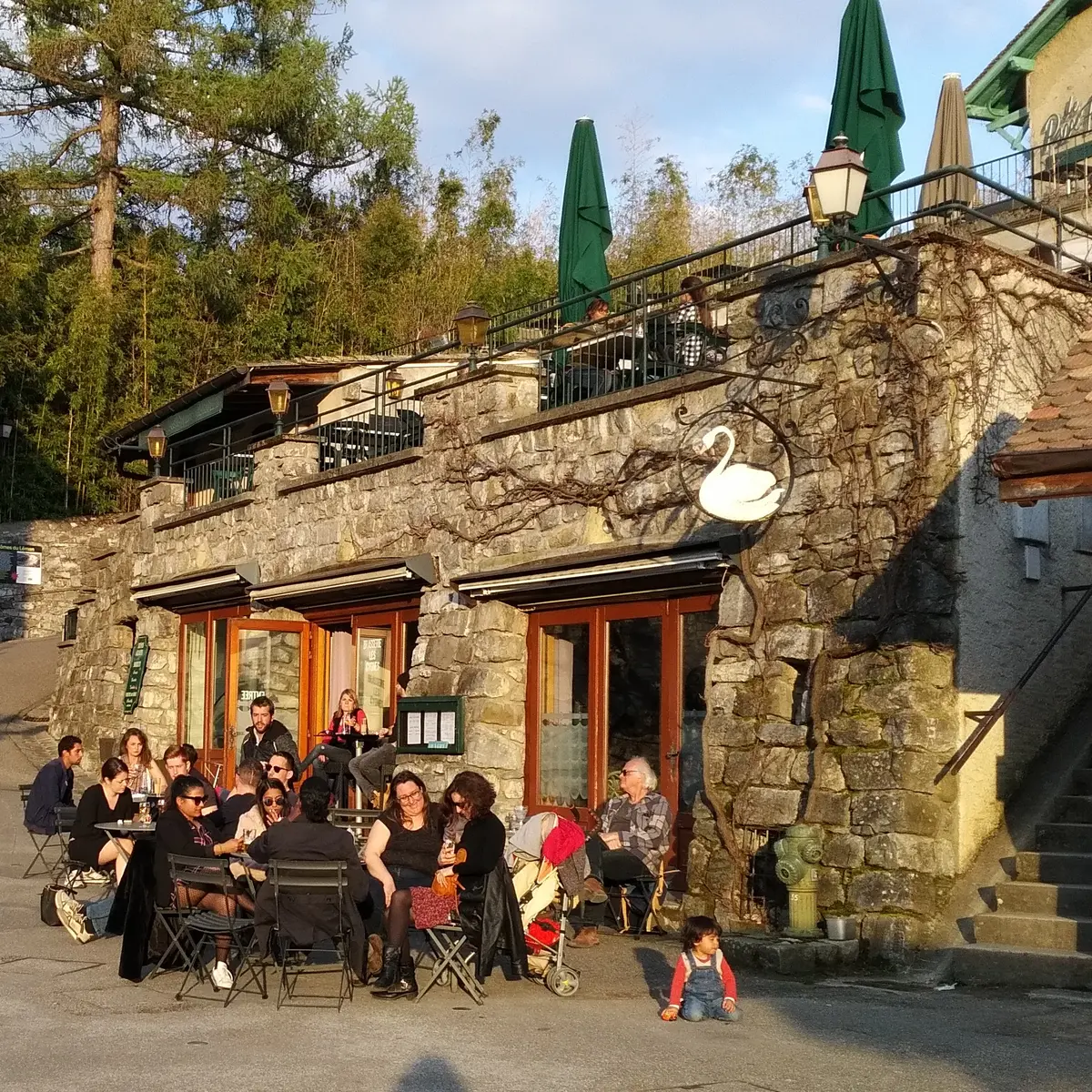 Brasserie Les Cygnes