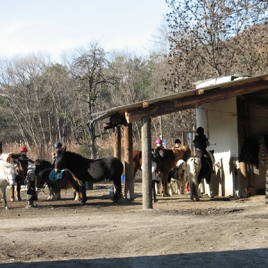 Centre Equestre EquiSoleil à Veynes