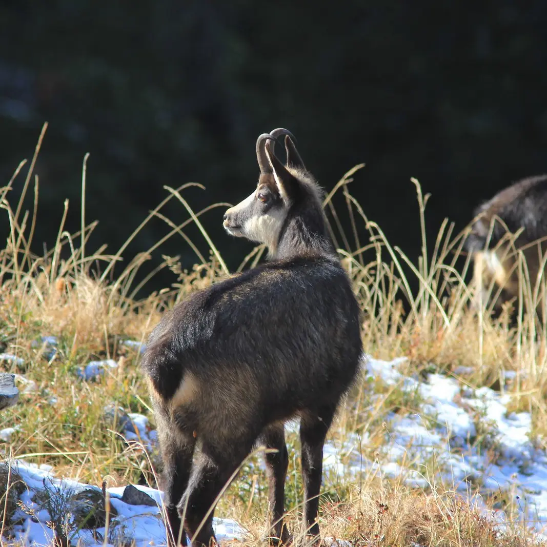 sorties montagnes avec Maxime
