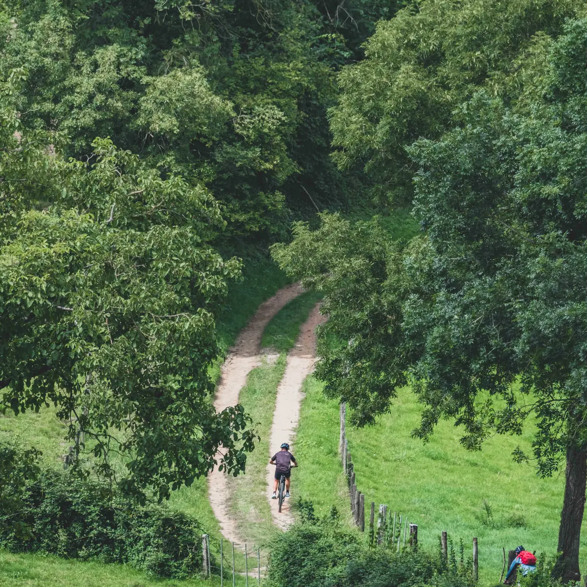 Chemin à Châtel-Montagne