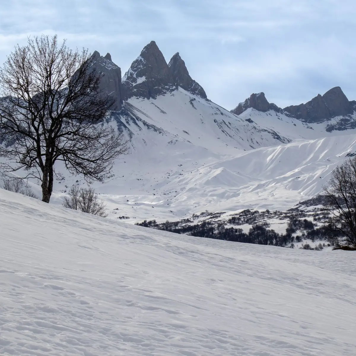 Paysage