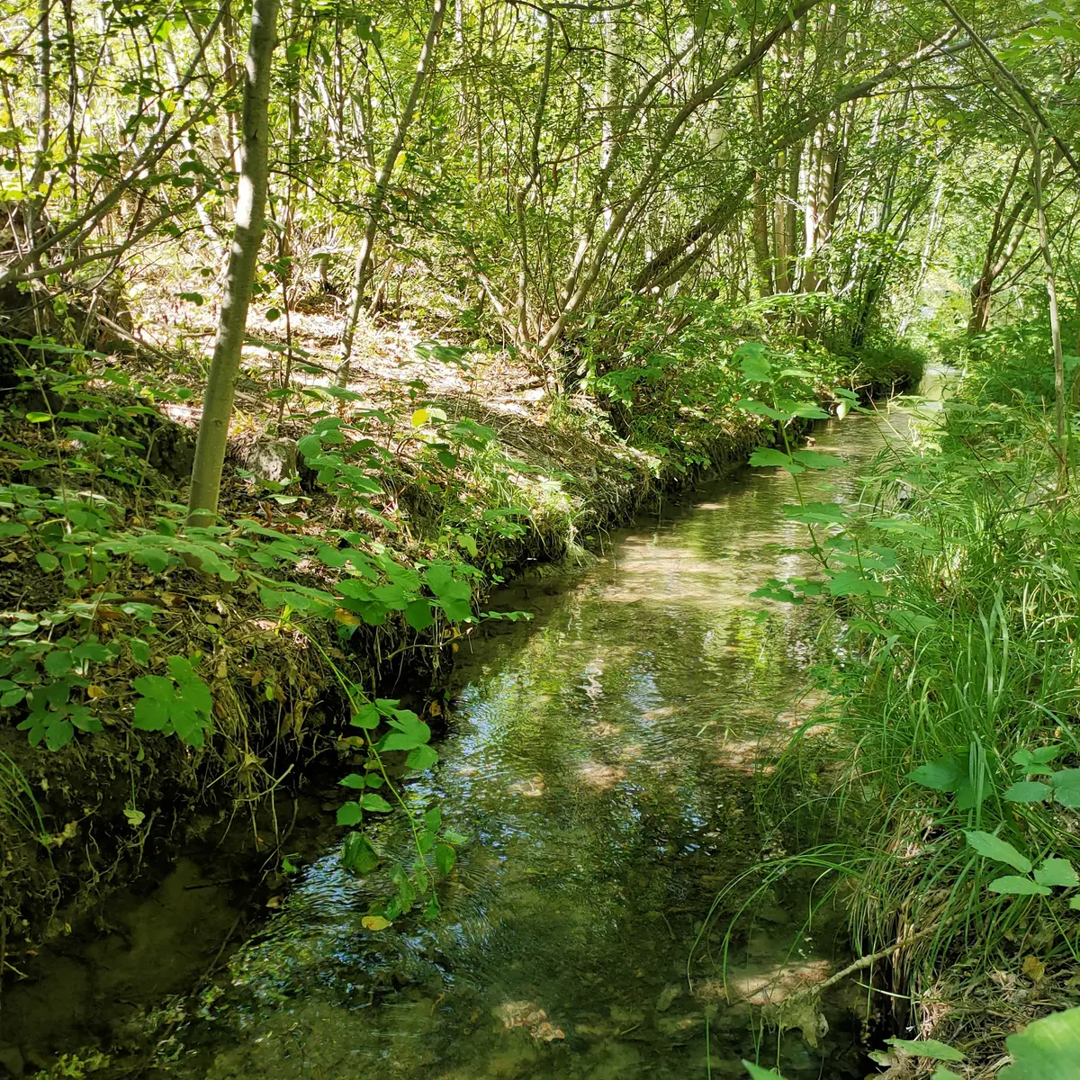 Balade sur les canaux au départ de Puy-Saint-Pierre