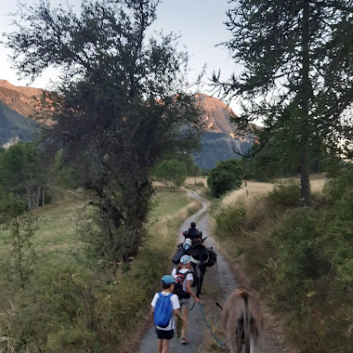 Randonnée avec les ânes - Arbraventure à Champoléon