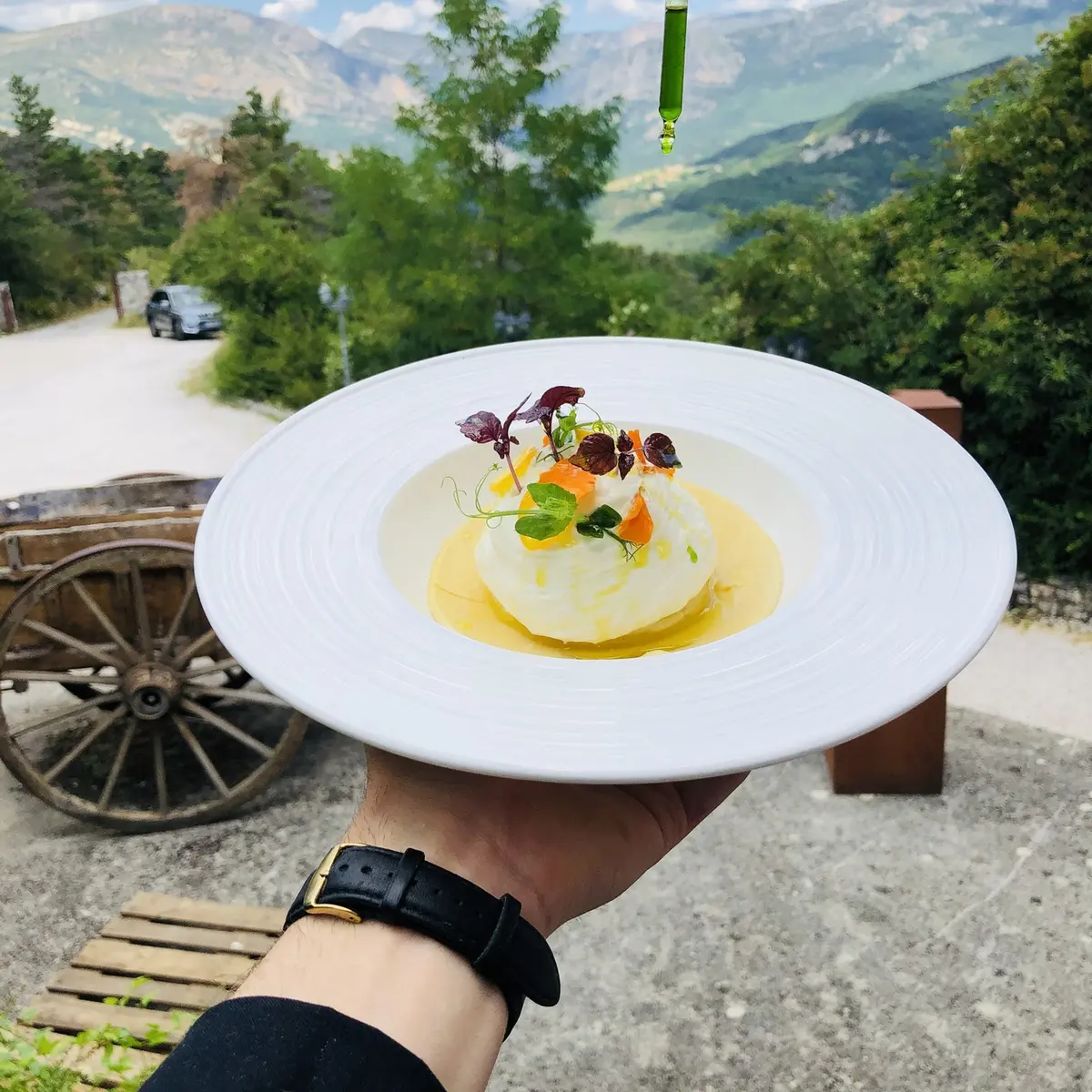 Dish suggestion