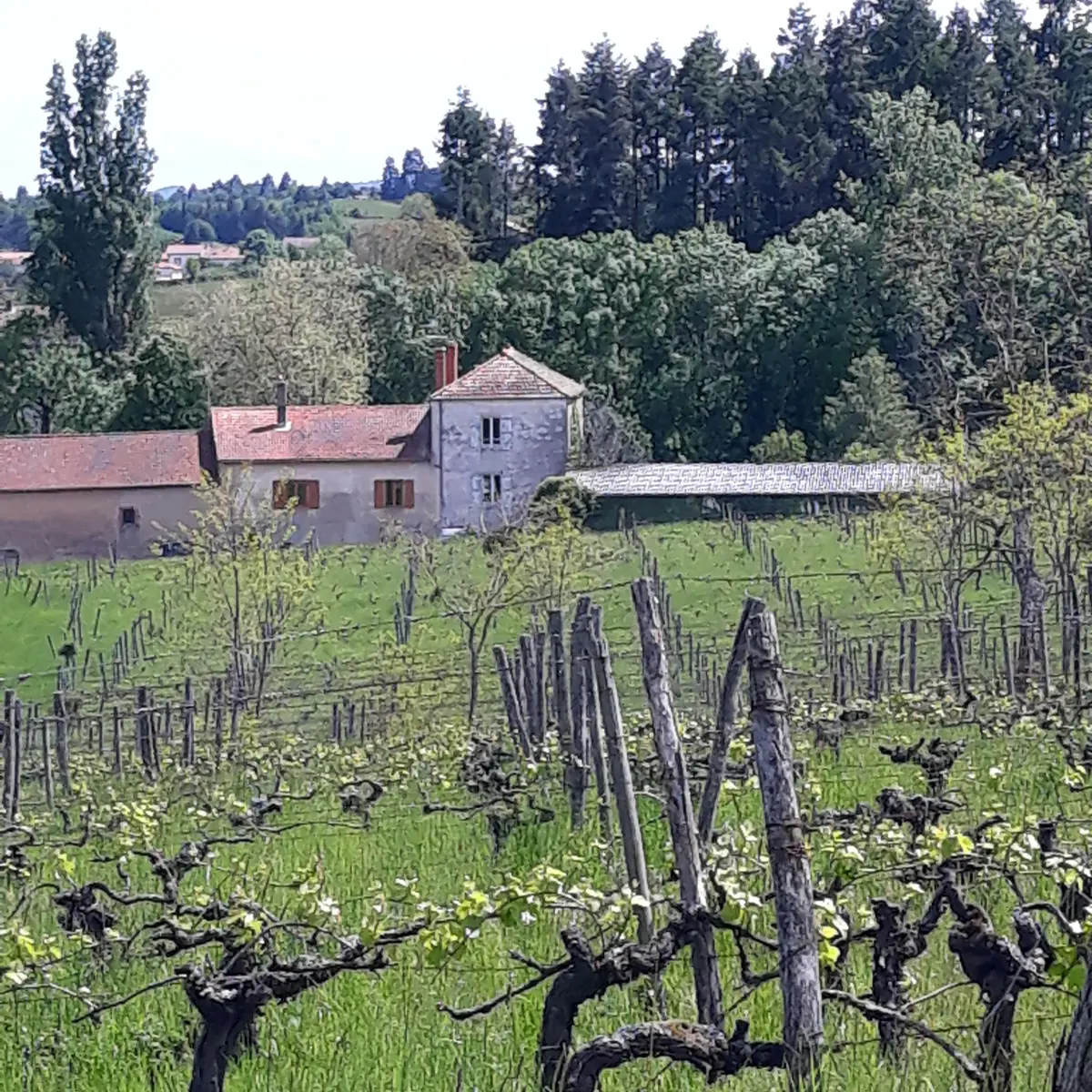 Le Picatier au printemps