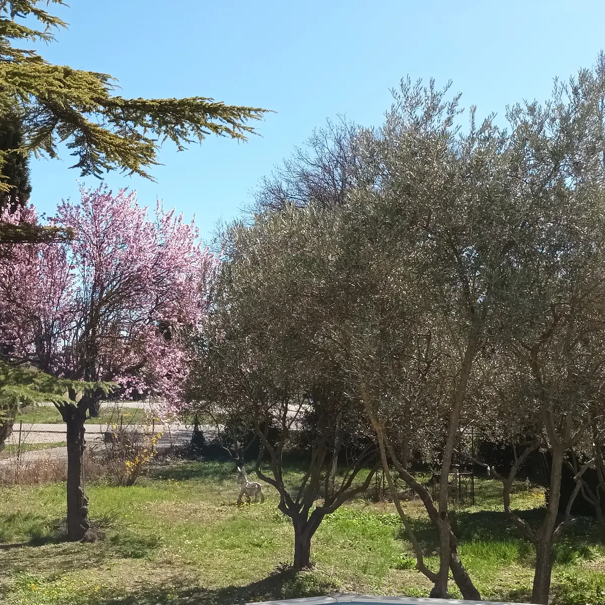 Les fermiers en herbe