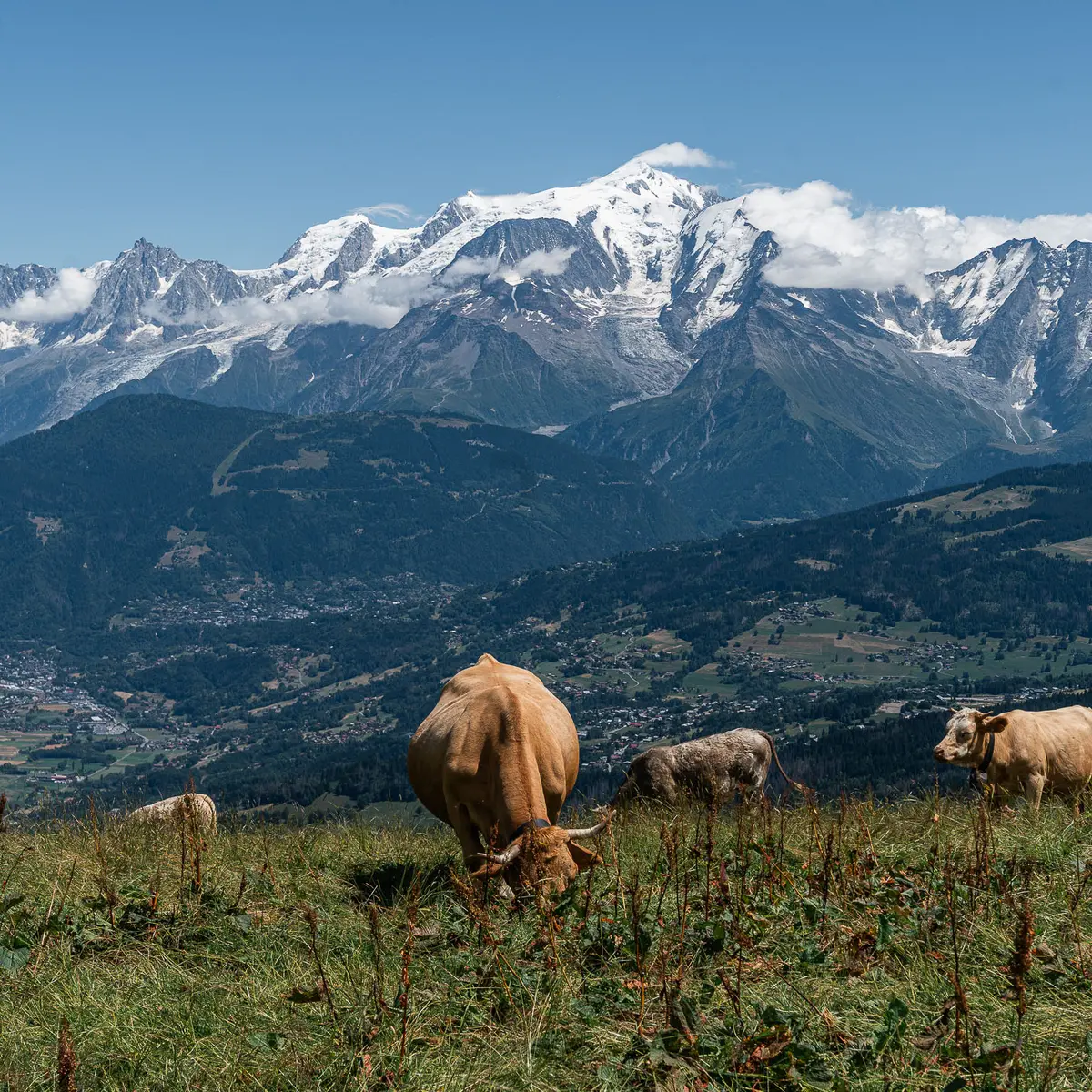 Vue depuis le plateau