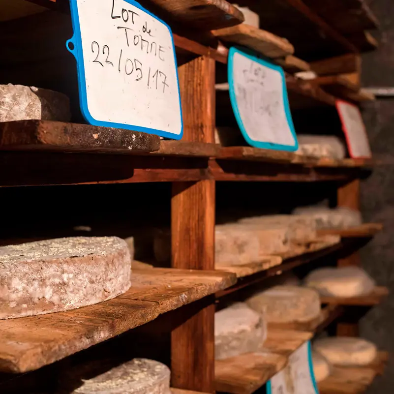 La ferme de Becadou