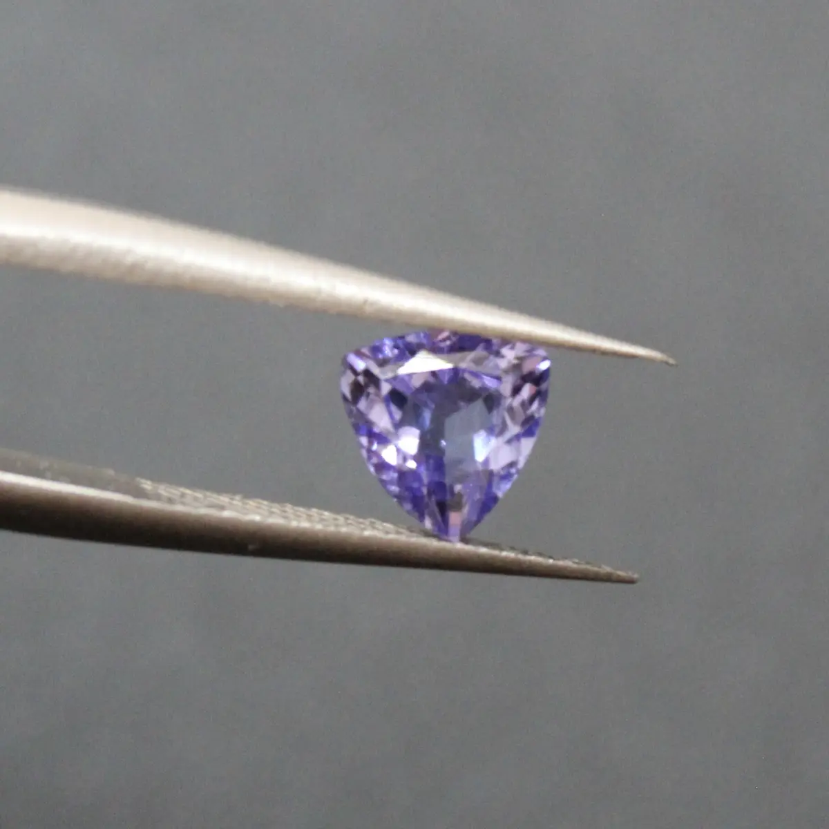 Maison Trillion_Bandol