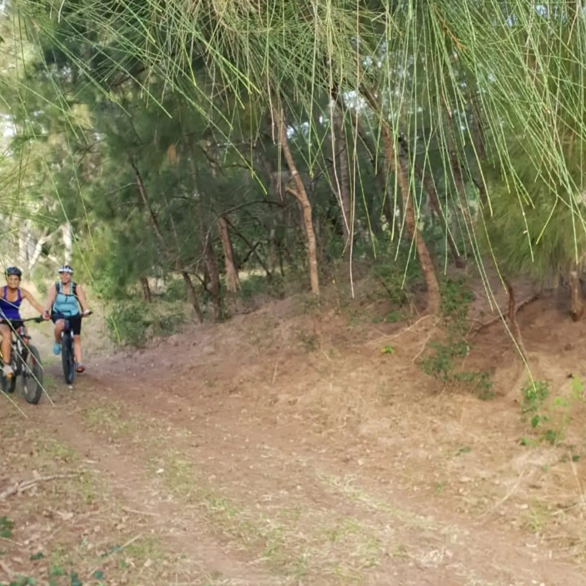 Endroit du parcours