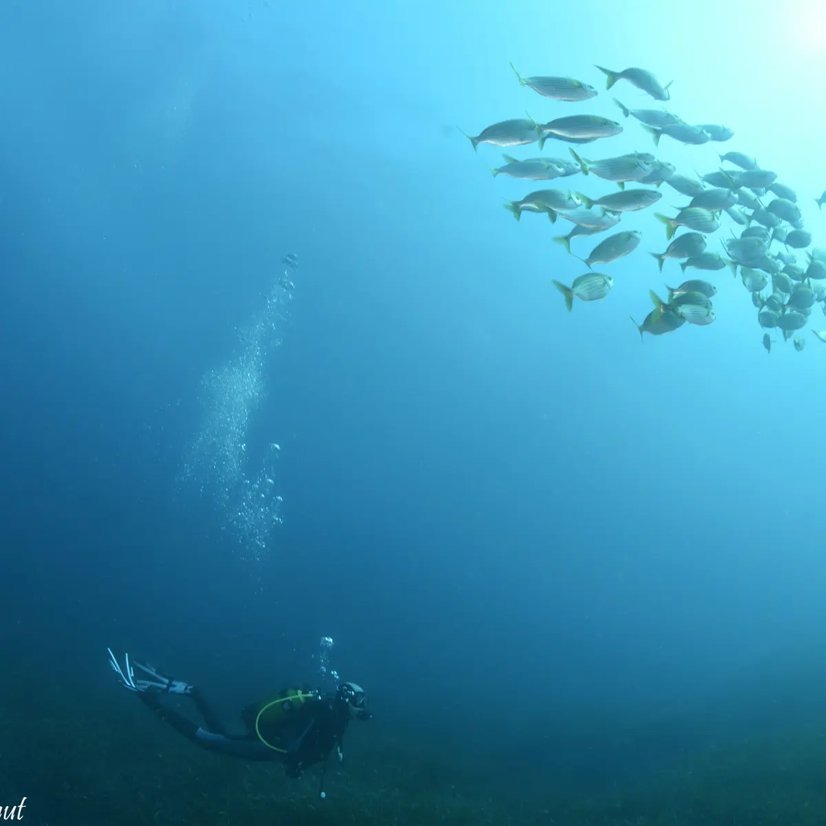 Centre de plongée Cap Plongée Six Fours