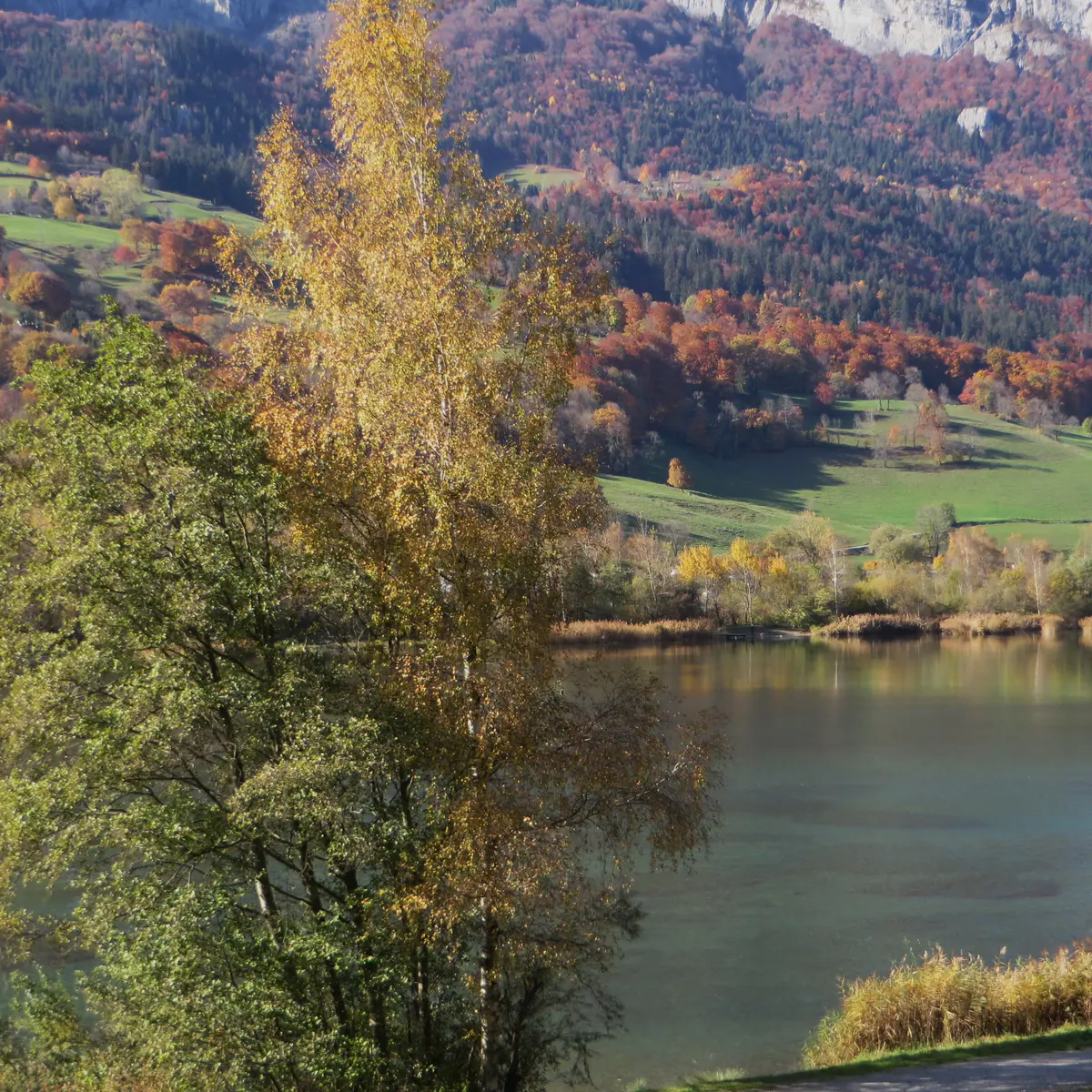 Lac des Ilettes en automne - photo sous licence creative commons https://creativecommons.org/licenses/by-nc-sa/2.0/