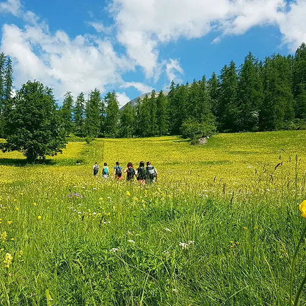 Le chemin du facteur