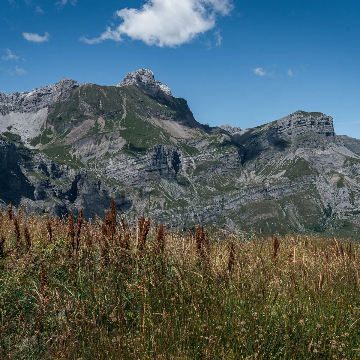 Vue des Aravis