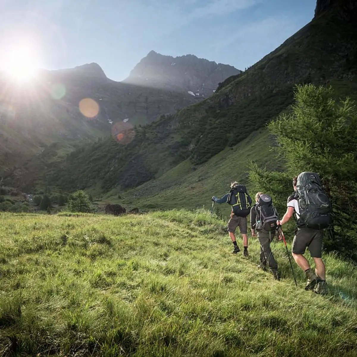 Pré de la Chaumette