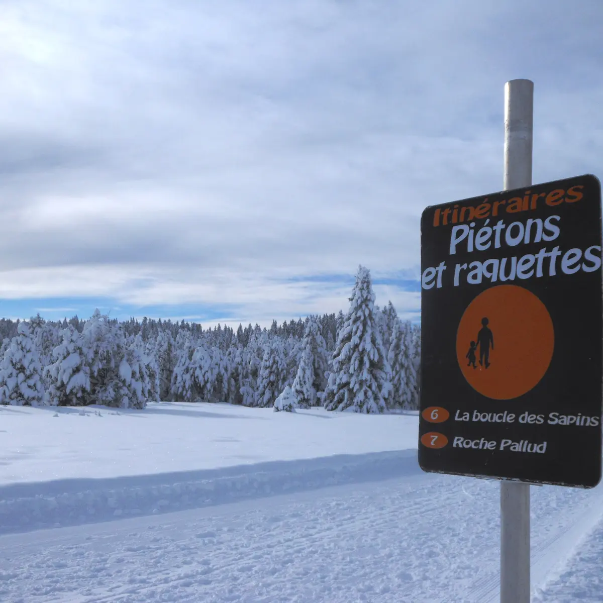 Pistes piétonnes